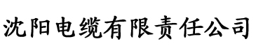 欧美精品v欧洲精品电缆厂logo